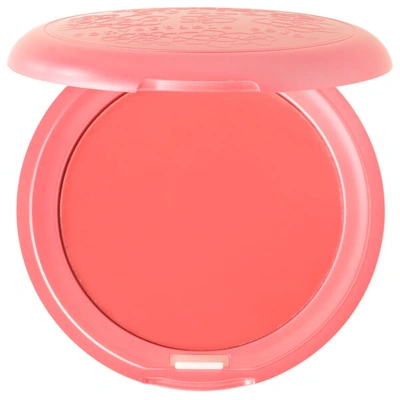 Stila Cosmetics Convertible Color 0.15 Oz. - Petunia