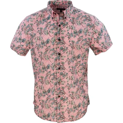 Lords Of Harlech Tim Blossom Canvas Pink