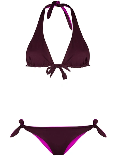 Tara Matthews Maquis Bikini In Purple