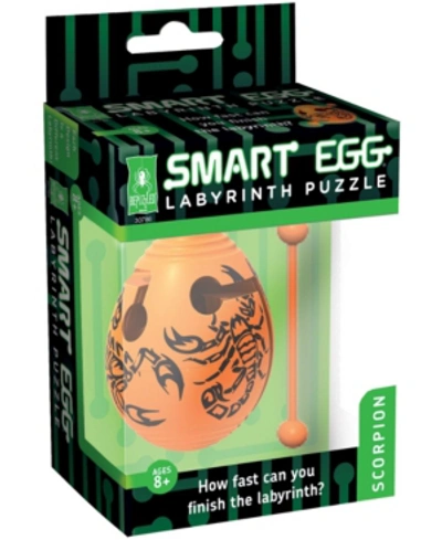 Areyougame Smart Egg Labyrinth Puzzle - Scorpion In No Color