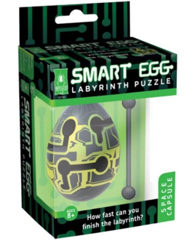 Areyougame Smart Egg Labyrinth Puzzle - Space Capsule In No Color
