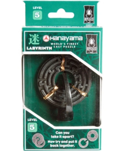 Areyougame Hanayama Level 5 Cast Puzzle - Labyrinth In No Color