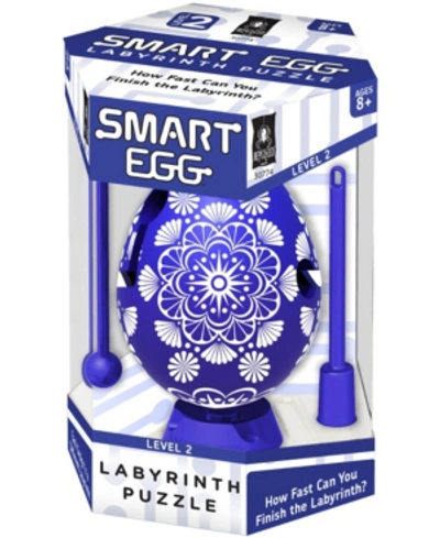 Areyougame Smart Egg Labyrinth Puzzle - Color Collection- Blue In No Color