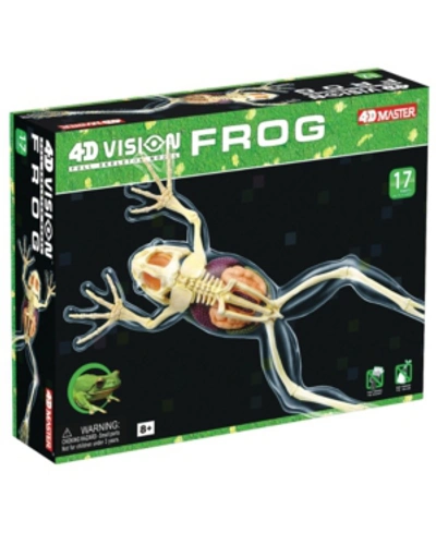 4d Master 4d Vision Full Skeleton Frog Model In No Color