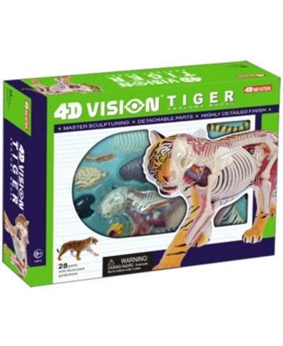 4d Master 4d Vision Tiger Anatomy Model In No Color