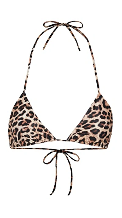 Peixoto Fifi Leopard Print Triangle Bikini Top In Multi