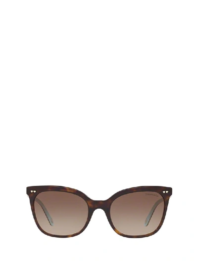 Tiffany & Co . Women's Multicolor Metal Sunglasses