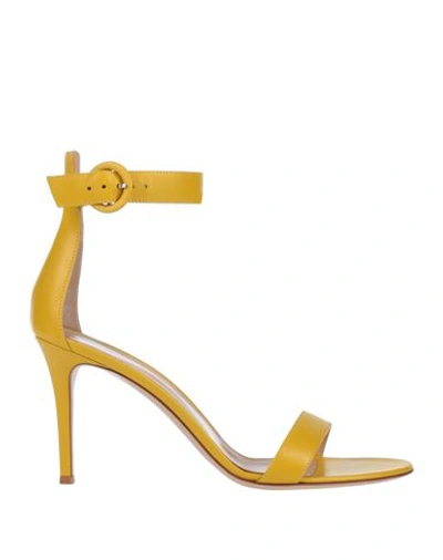 Gianvito Rossi Sandals In Yellow