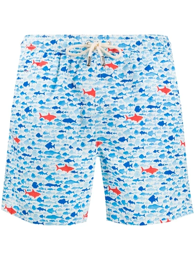 Mc2 Saint Barth Fish Print Swim Shorts In Blue