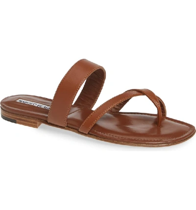 Manolo Blahnik Slide Sandal In Luggage Brown