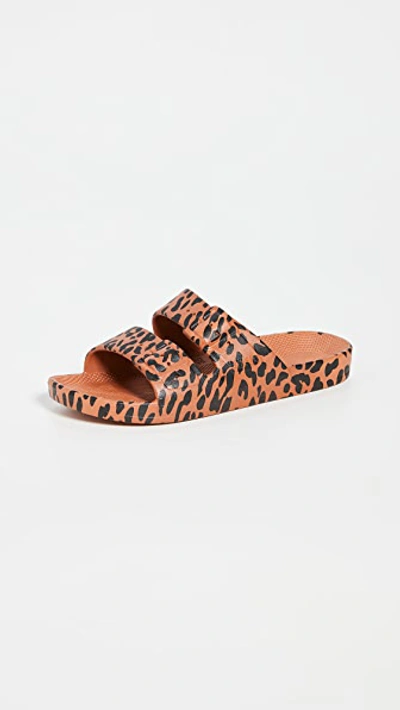 Freedom Moses Leopard-print Plastic Pool Slides In Brown/black