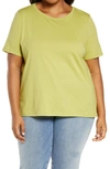 Eileen Fisher Women's Crewneck Organic T-shirt In Field