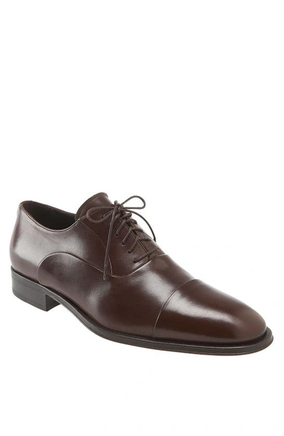 Bruno Magli 'maioco' Oxford In Dark Brown