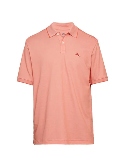 Tommy Bahama Playa To Win Polo In Fusion Orange