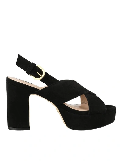 Stuart Weitzman Jerry Suede Sandals In Black