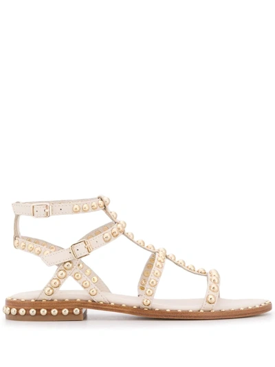 Ash Precious Studded Leather Gladiator Sandals In Ivory