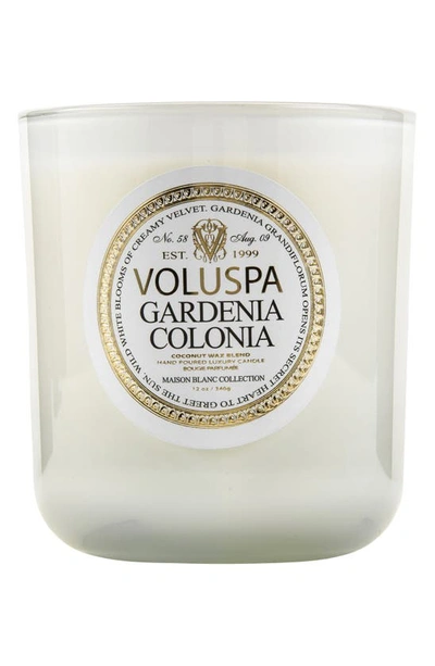 Voluspa Maison Blanc Gardenia Colonia Classic Maison Candle, 12 oz