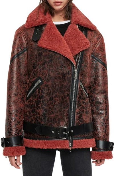 Allsaints Hawley Genuine Shearling Leather Jacket In Raspberry Pink
