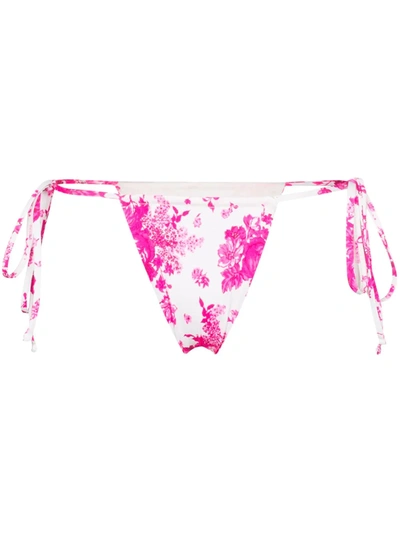 Frankies Bikinis Tavi Floral Print Bikini Bottoms In Pink Cloud