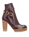 Chloé Ankle Boot In Maroon