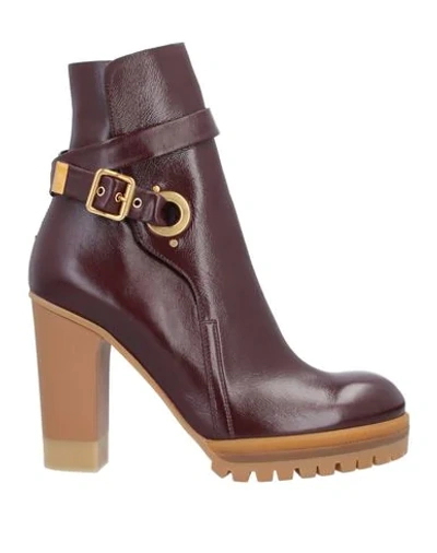 Chloé Ankle Boot In Maroon