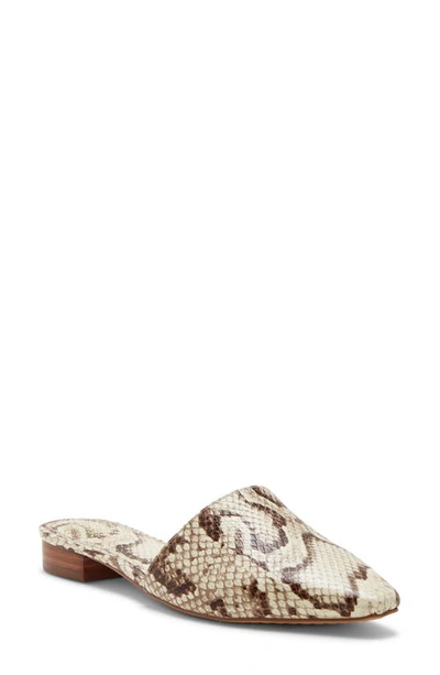 Vince Camuto Women's Felinial Mules Women's Shoes In Oatmeal Snake Print Leather