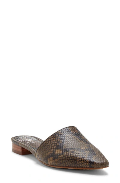 Vince Camuto Women's Felinial Mules Women's Shoes In Taupe