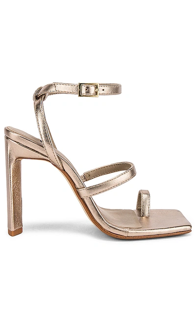 Senso Selena Ii Sandal In Midas