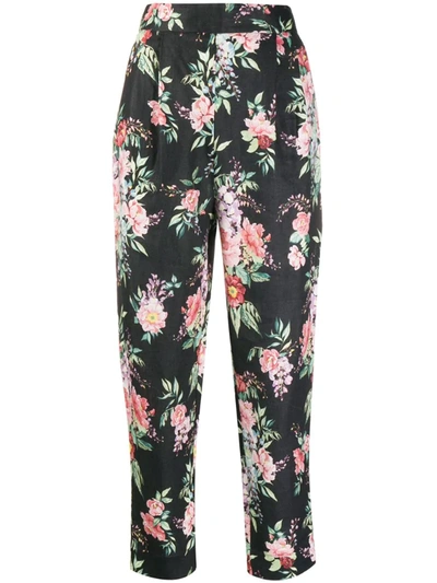 Zimmermann Floral-print Tapered Trousers In Black