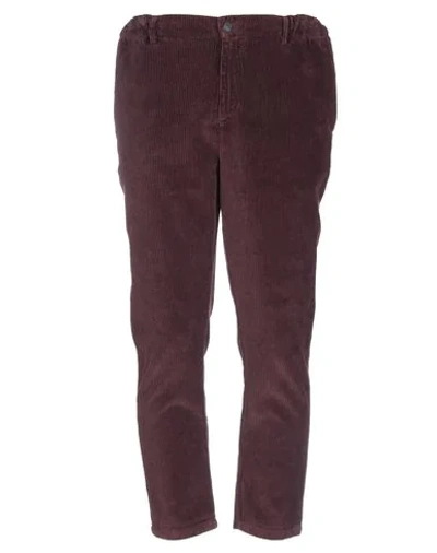 Grey Daniele Alessandrini Pants In Purple