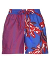 P.a.r.o.s.h Shorts & Bermuda Shorts In Blue