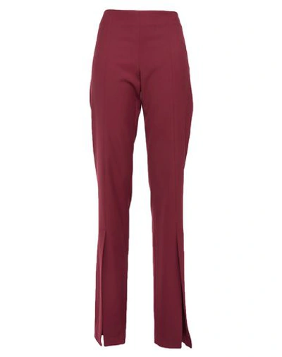 Blumarine Pants In Maroon