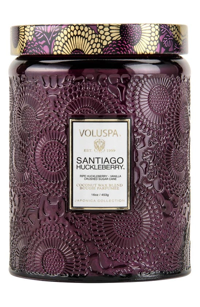 Voluspa Japonica Santiago Huckleberry Large Embossed Glass Jar Candle