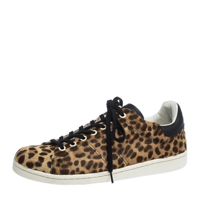 Pre-owned Isabel Marant Brown Leopard Print Calfhair And Leather Low Top Sneakers Size 39