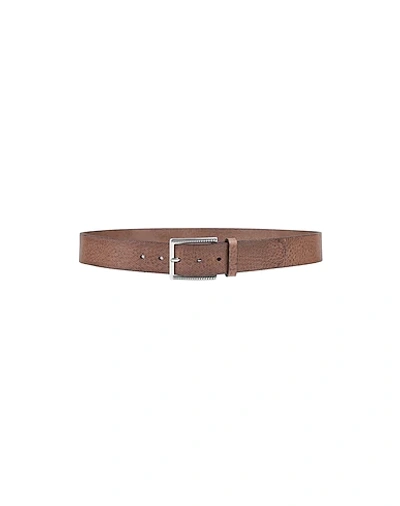 Andrea D'amico Belts In Dark Brown