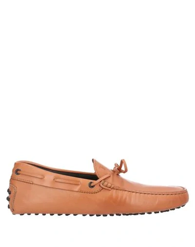 Tod's Loafers In Brown