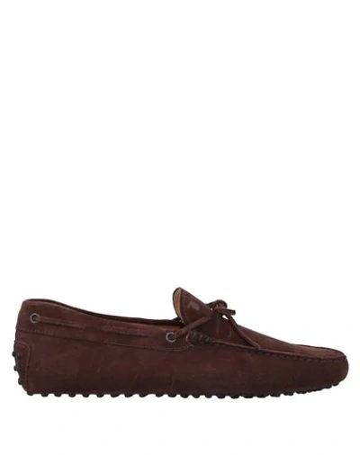 Tod's Loafers In Brown