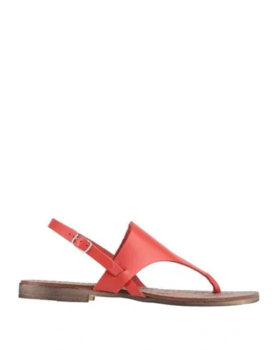 Cantarelli Toe Strap Sandals In Red