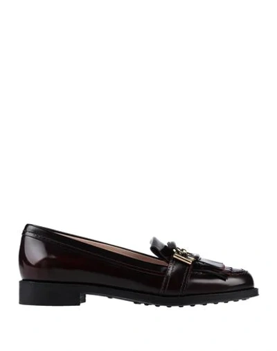 Tod's Loafers In Maroon