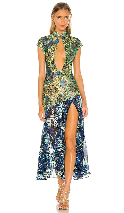 Kim Shui Lace Butterfly Dress In Green