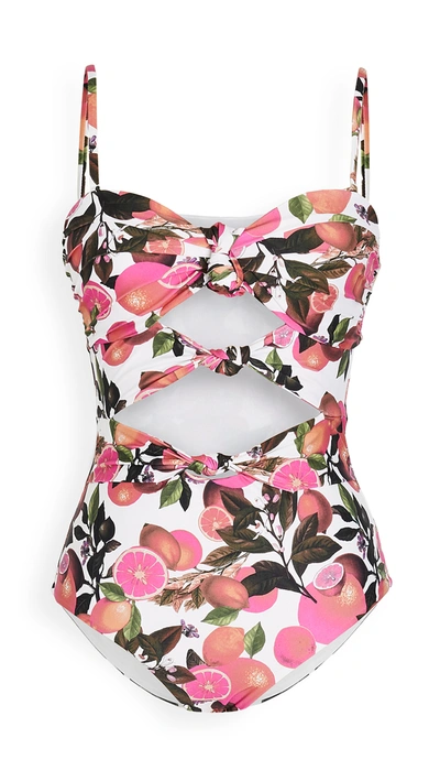 Beach Riot Karla One Piece In Fruity