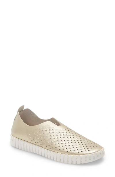 Ilse Jacobsen Tulip 139 Perforated Slip-on Sneaker In Platin Fabric