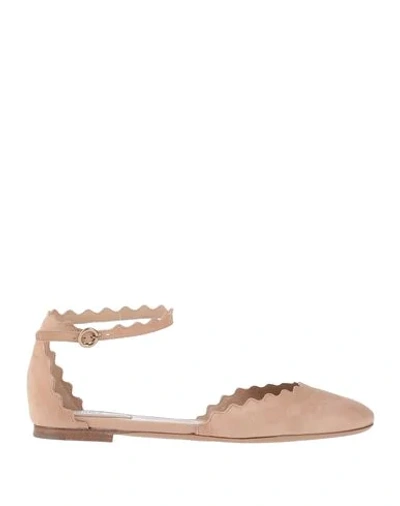 Chloé Ballet Flats In Beige