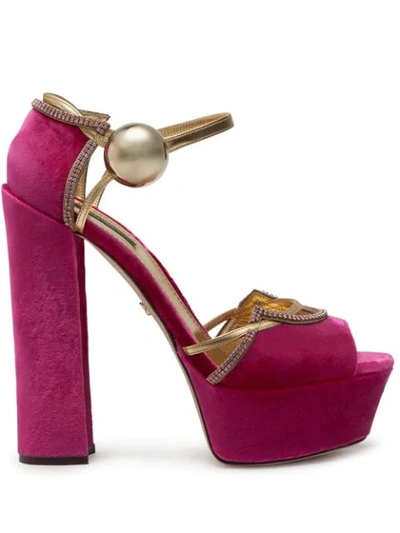 Dolce & Gabbana Velvet And Mordoré Platform Sandals In Pink