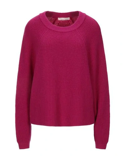 Liviana Conti Sweaters In Purple