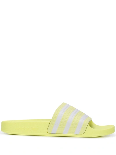 Adidas Originals Klassische Adiletten In Yellow