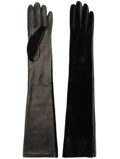 Manokhi Contrast Panel Long Gloves In Black