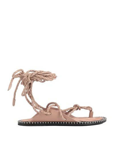 Ann Demeulemeester Toe Strap Sandals In Pale Pink