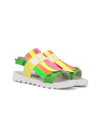 Msgm Teen Colour Block Logo Sandals In Green