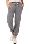 Alternative Classic Eco-fleece Sweatpants In Eco Grey